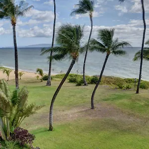  Apartment Hale Kai O'kihei 302 United States